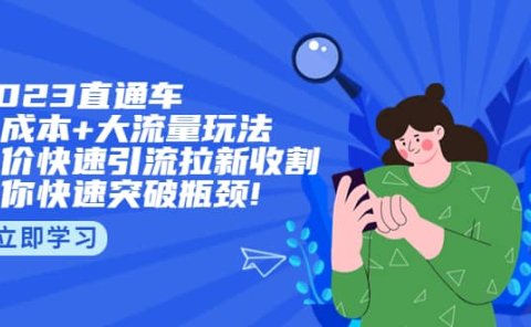 2023直通小成本+大流量玩法,低价快速引流拉新收割,让你快速突破瓶颈