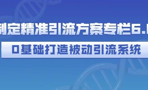 制定精准引流方案专栏6.0,0基础打造被动引流系统