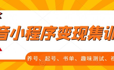 抖音小程序变现集训课,养号、起号、书单、趣味测试、视频剪辑,全套流程