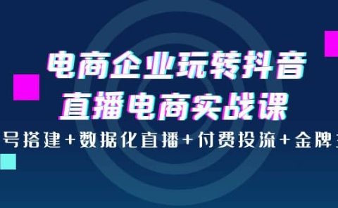 电商企业玩转抖音直播电商实战课:账号搭建+数据化直播+付费投流+金牌主播