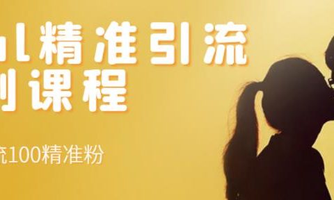 soul精准引流系列课程,每天引流100精准粉