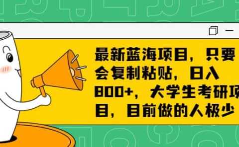 最新蓝海项目,只要会复制粘贴,日入800+,大学生考研项目,目前做的人极少