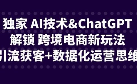 独家 AI技术ChatGPT解锁 跨境电商新玩法，引流获客+数据化运营思维
