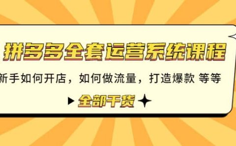 拼多多全套运营系统课程:新手如何开店 如何做流量 打造爆款 等等 全部干货