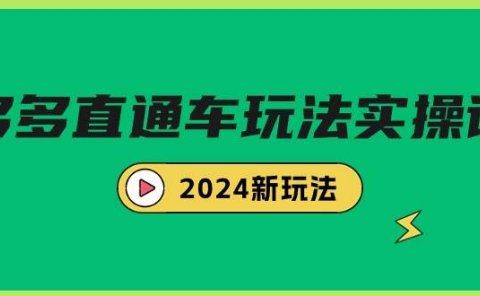 多多直通车玩法实战课,2024新玩法(7节课)