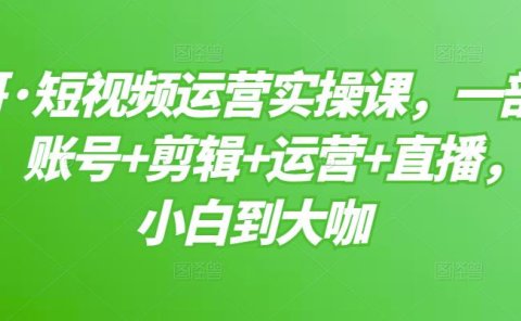短视频运营实操课,一部手机,账号+剪辑+运营+直播,从小白到大咖