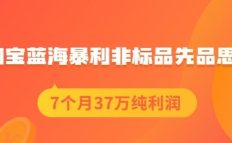 盗坤淘宝蓝海暴利非标品先品思路,7个月37万纯利润,压箱干货分享!【付费文章】