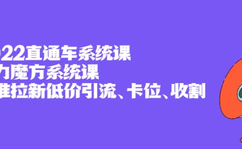 2022直通车系统课+引力魔方系统课,精准拉新低价引流、卡位、收割