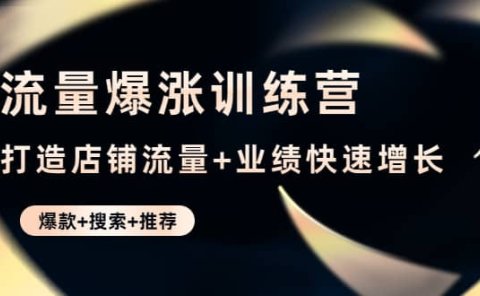 流量爆涨训练营：打造店铺流量+业绩快速增长 (爆款+搜索+推荐)