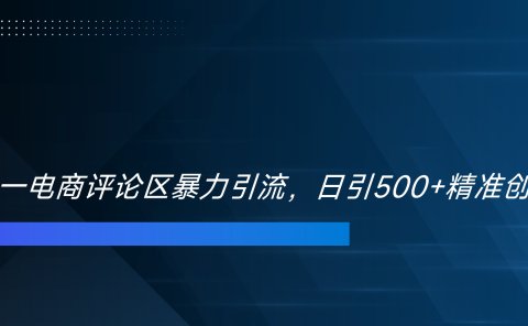 双十一电商评论区暴力引流,日引500+精准创业粉!!!