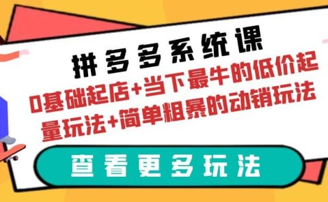 拼多多系统课:0基础起店+当下最牛的低价起量玩法+简单粗暴的动销玩法