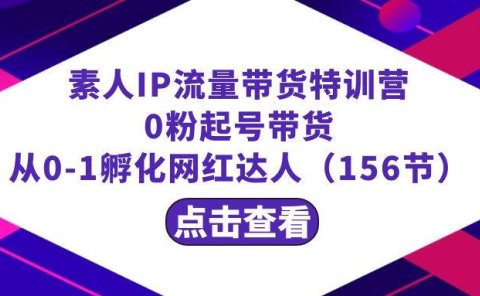繁星·计划素人IP流量带货特训营:0粉起号带货 从0-1孵化网红达人(156节)