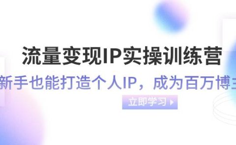 流量变现-IP实操训练营:新手也能打造个人IP,成为百万博主(46节课)