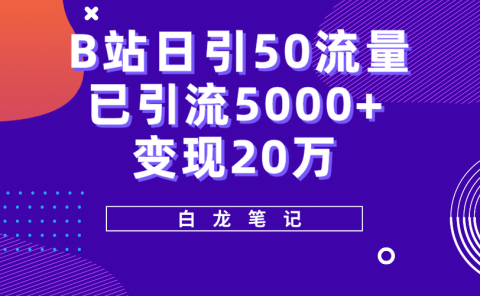 B站日引50+流量,实战已引流5000+变现20万,超级实操课程