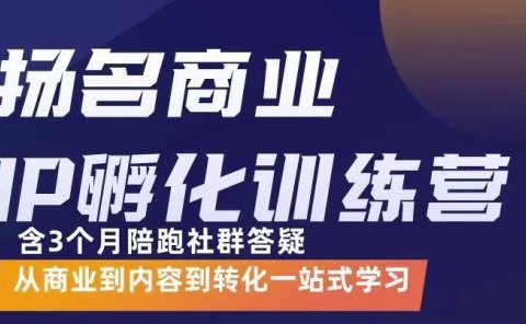 杨名商业IP孵化训练营,从商业到内容到转化一站式学 价值5980元