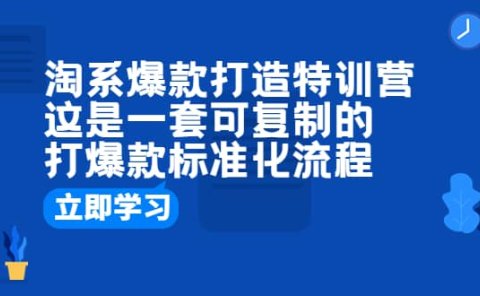 淘系爆款打造特训营:这是一套可复制的打爆款标准化流程