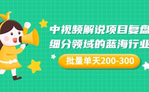 某付费文章:中视频解说项目复盘:细分领域的蓝海行业 批量单天200-300收益