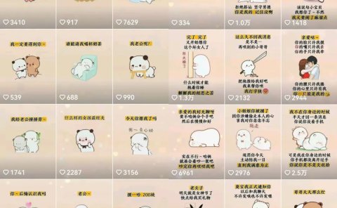 抖音表情包小程序变现项目，一条龙玩法详细大解析，视频版学习