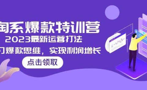 2023淘系爆款特训营,2023最新运营打法,学习爆款思维,实现利润增长