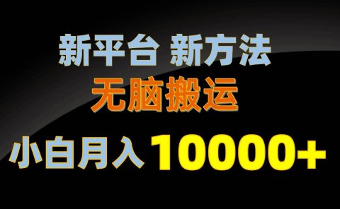 新平台新方法,无脑搬运,月赚10000+,小白轻松上手不动脑