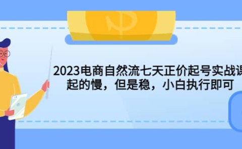 2023电商自然流七天正价起号实战课：起的慢，但是稳，小白执行即可