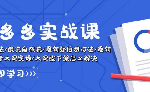 拼多多·实战课:万人团玩法/截流自然流/最新强付费打法/最新原价卡大促..