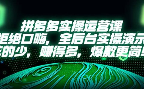 拼多多实操运营课:拒绝口嗨,全后台实操演示,花的少,赚得多,爆款更简单