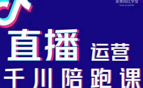 美尊-抖音直播运营千川系统课:直播运营规划、起号、主播培养、千川投放等