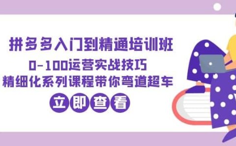 2023拼多多入门到精通培训班:0-100运营实战技巧 精细化系列课带你弯道超车