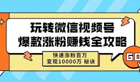 玩转微信视频号爆款涨粉赚钱全攻略,快速涨粉百万变现万元秘诀