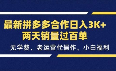 最新拼多多合作日入3K+两天销量过百单,无学费、老运营代操作、小白福利
