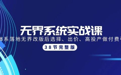无界系统实战课:全体系落地无界改版后选择、出价、高投产做付费引流-38节