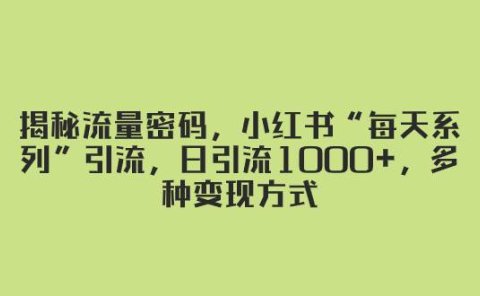 揭秘流量密码,小红书“每天系列”引流,日引流1000+,多种变现方式