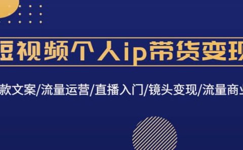 短视频个人ip带货变现：爆款文案/流量运营/直播入门/镜头变现/流量商业