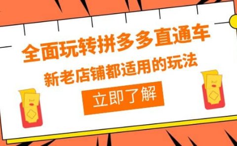 全面玩转拼多多直通车,新老店铺都适用的玩法(12节精华课)