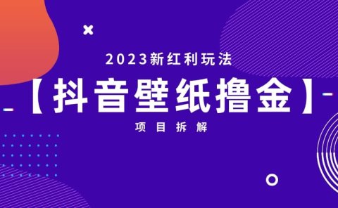 2023新红利玩法:抖音壁纸撸金项目