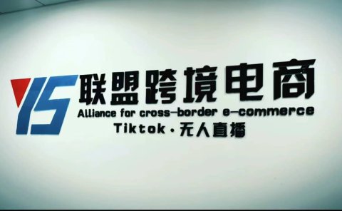 Tiktok无人直播,不出镜不剪辑不拍摄不发货无售后的跨境短视频玩法