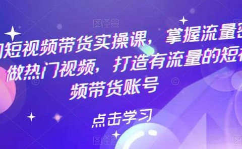 热门短视频带货实战 掌握流量密码 做热门视频 打造有流量的短视频带货账号