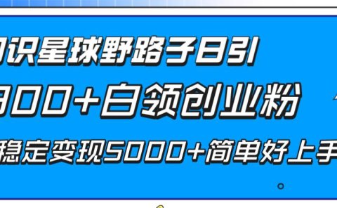 知识星球野路子日引300+白领创业粉,日稳定变现5000+简单好上手!