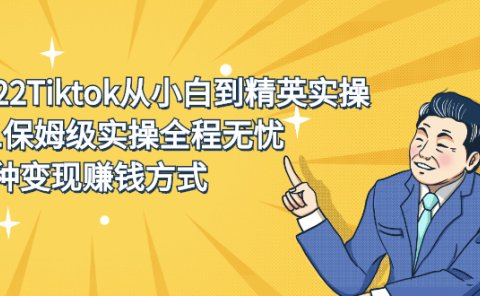 2022Tiktok从小白到精英实操特训营,带你掌握Tiktok账号运营