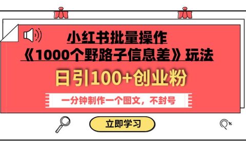 小红书批量操作《1000个野路子信息差》玩法 日引100+创业粉 一分钟一个图文