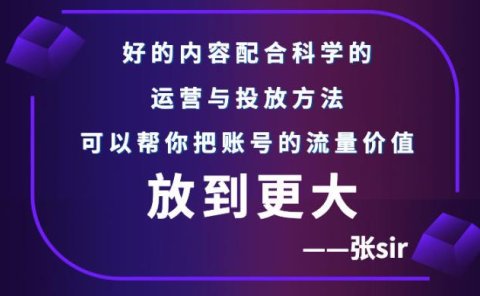 张sir账号流量增长课,告别海王流量,让你的流量更精准