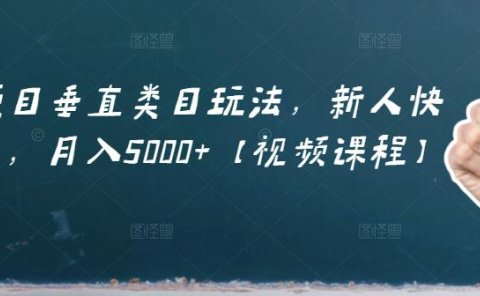 虚拟项目垂直类目玩法,新人快速起店,月入5000+【视频课程】