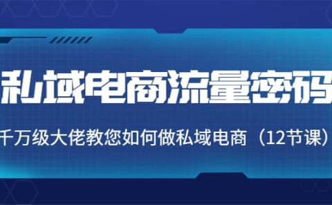 私域电商流量密码:千万级大佬教您如何做私域电商(12节课)