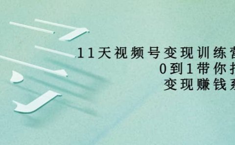 好望角·11天视频号变现训练营，从0到1打造变现赚钱系统（价值398）