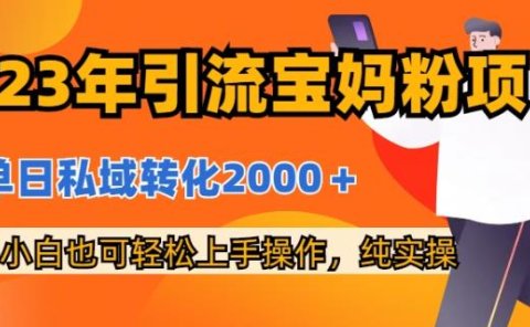 2023年引流宝妈粉项目，单日私域转化2000＋，新手小白也可轻松上手操作，纯实操