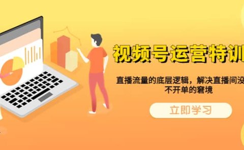 视频号运营特训营,直播流量的底层逻辑,解决直播间没流量,不开单的窘境