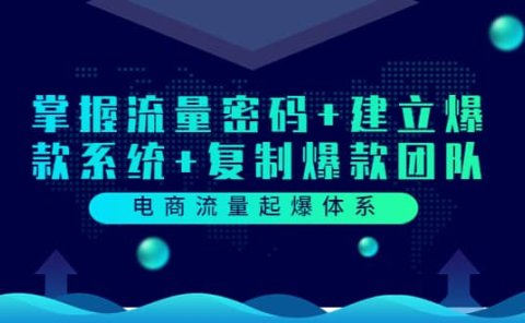 电商流量起爆体系:掌握流量密码+建立爆款系统+复制爆款团队(价值599)