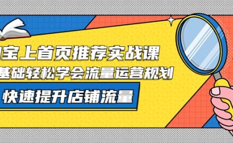 淘宝上首页/推荐实战课:0基础轻松学会流量运营规划,快速提升店铺流量
