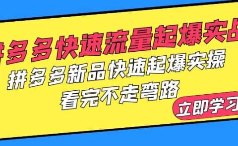 拼多多-快速流量起爆实战,拼多多新品快速起爆实操,看完不走弯路